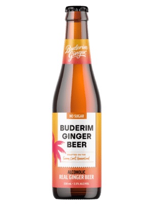 No Sugar Ginger Beer Alc 330ml Single Bottle 1